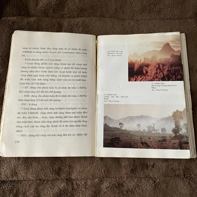 Nghệ thuật nhiếp ảnh màu 605111