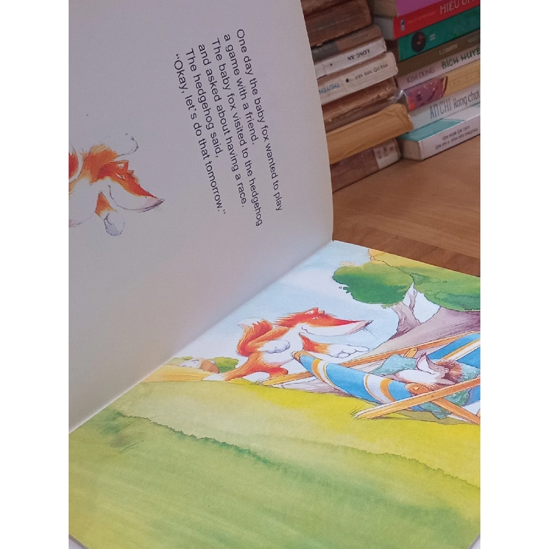 A baby fox and hedgehog - Ales Vrtal 994609