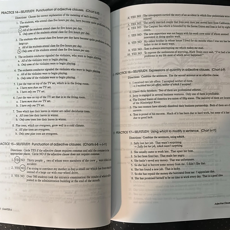 UNDERSTAND & USING ENGLISH GRAMMAR - Workbook 475413