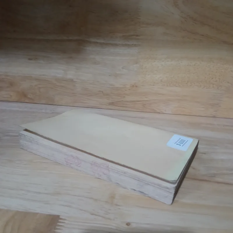 Danh Tướng Trần Hưng Đạo - Hoàng Công Khanh 995808