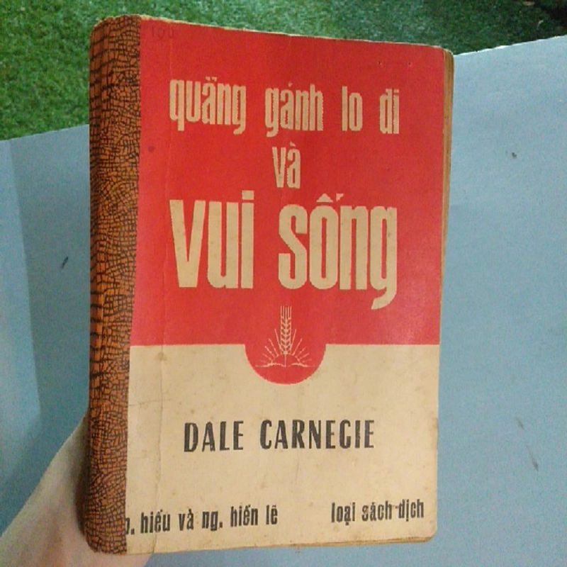 QUẲNG GÁNH LO ĐI VÀ VUI SỐNG  223798