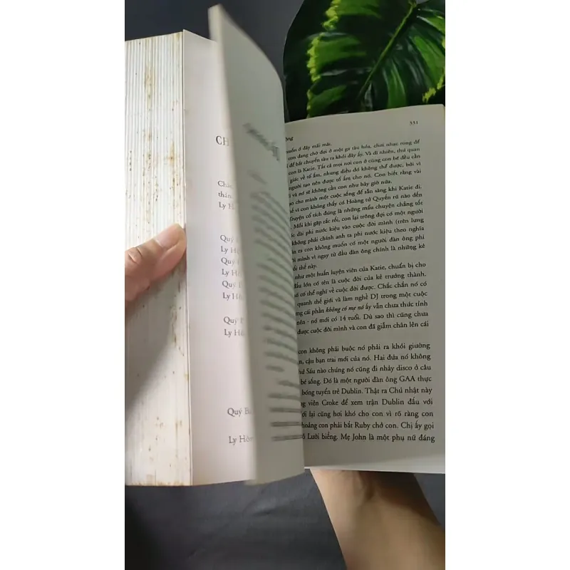 Nơi Cuối Cầu Vồng - Cecelia Ahern 604589