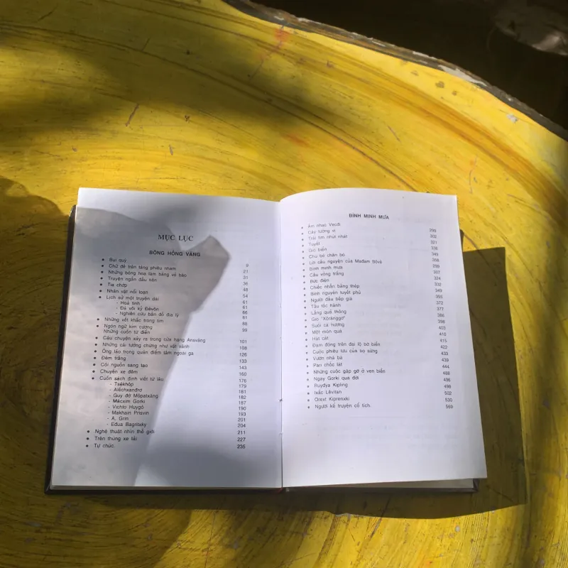 BÔNG HỒNG VÀNG & BÌNH MINH MƯA - K. PAUTOPXKI 783387