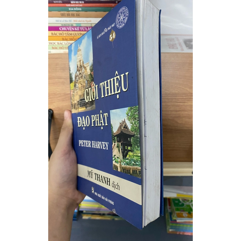 Sách giới thiệu đạo phật giáp pháp,lịch sử và cách thực hiện của Peter Harvey Mỹ Thanh dịc 500148