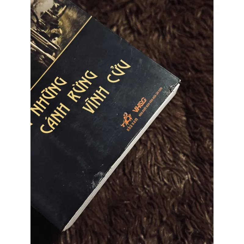 Trong những cánh rừng vĩnh cửu 974692