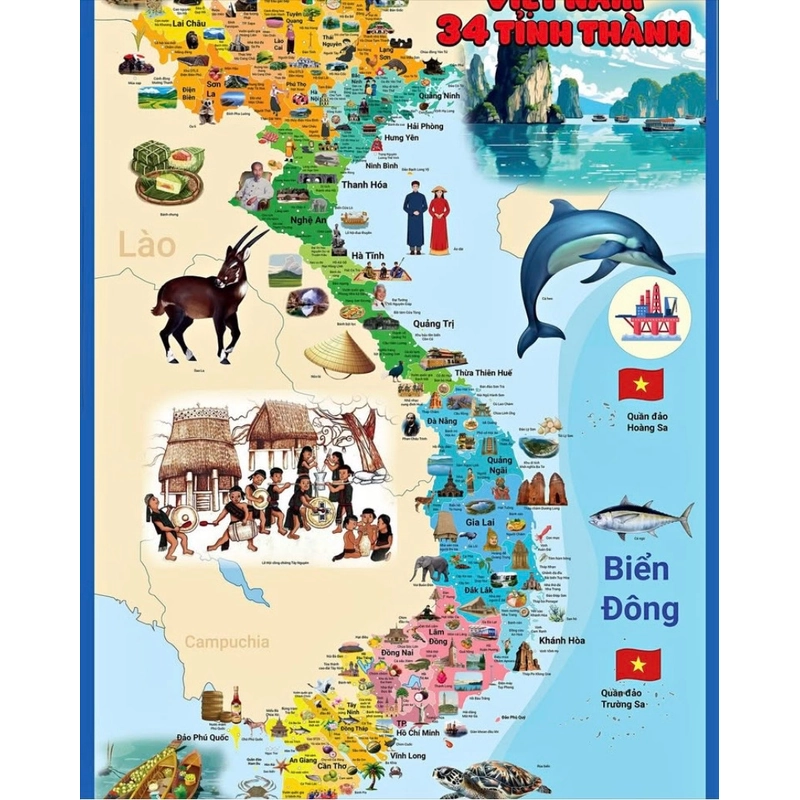 Bộ tranh dán tường lược sử, bản đồ Việt Nam và Thế Giới  418114
