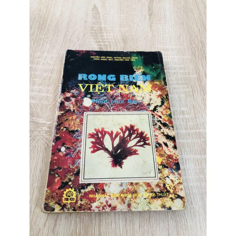 RONG BIỂN VIỆT NAM ( Phần phía Bắc) 956975