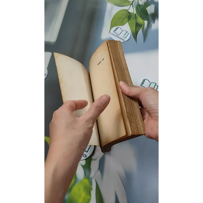 [XƯA] Ngọc Lai (1992) - Hoàng Thế Mai 776085