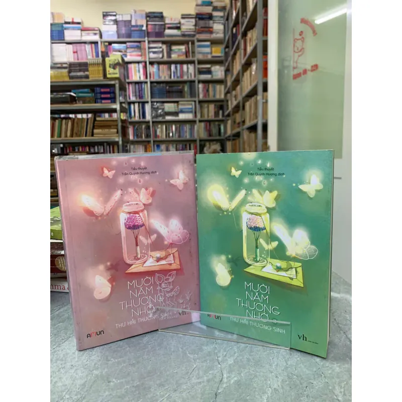 MƯỜI NĂM THƯƠNG NHỚ (2 TẬP) - THƯ HẢI THƯƠNG SINH 597230