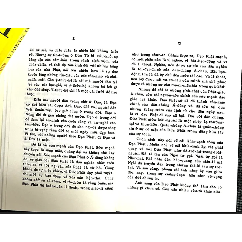 ĐỨC PHẬT GIỮA CHÚNG TA - TRẦN NGỌC NINH 1022037