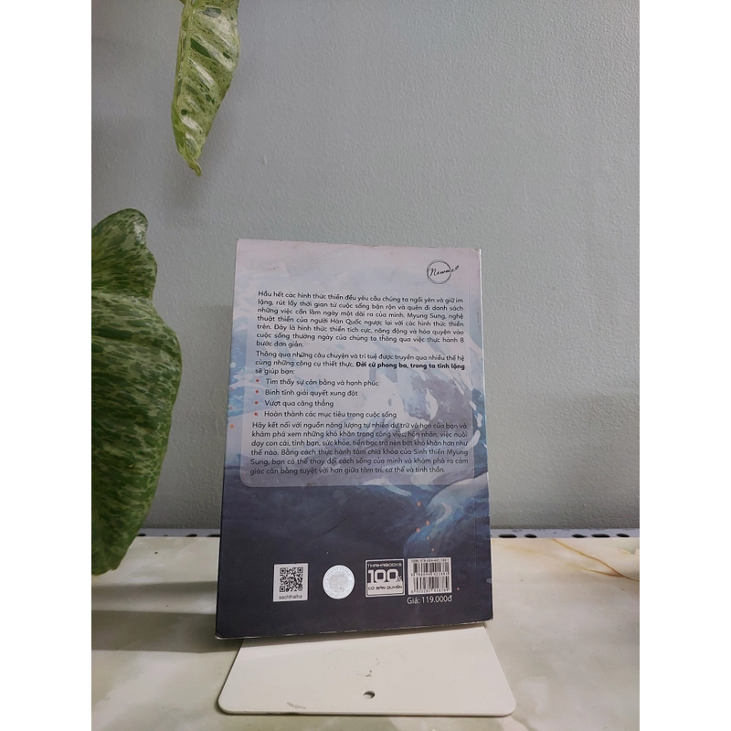 ĐỜI CỨ PHONG BA TRONG TA TĨNH LẶNG 529974
