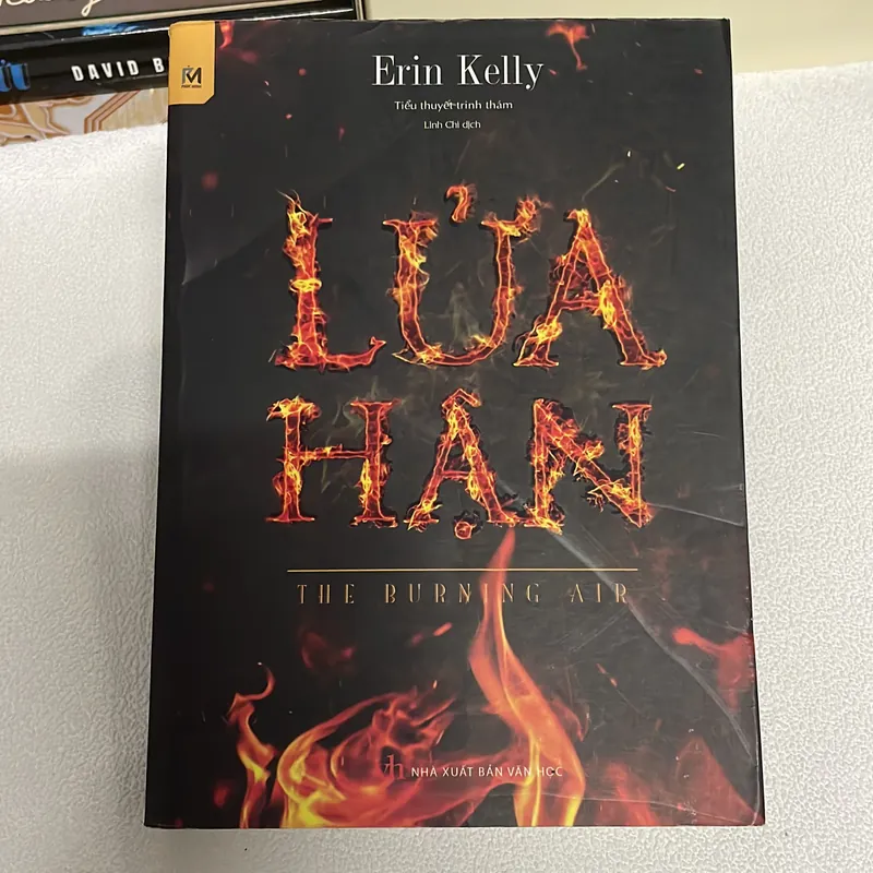 Lửa hận Erin 573945