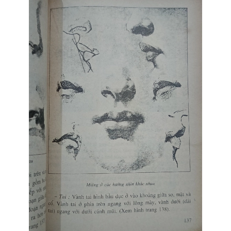 Hình họa và điêu khắc, Tập 1 - Triệu Khắc Lễ 505429