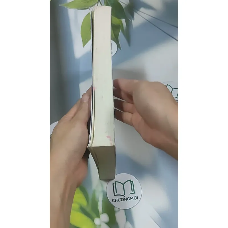 Kim Ốc Hận 2 - Liễu Ký Giang 688579