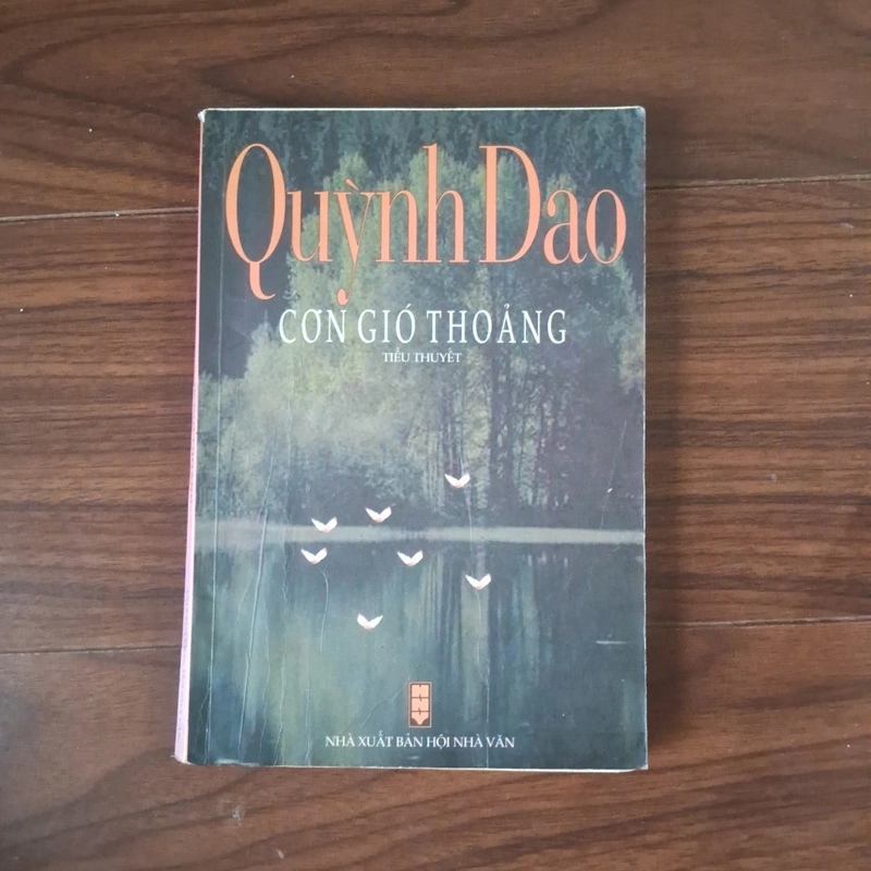 Cơn gió thoảng 507987