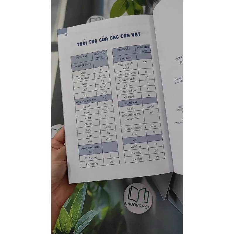 Động vật: Sống dưới nước, bò sát và côn trùng - An Khánh 1018832