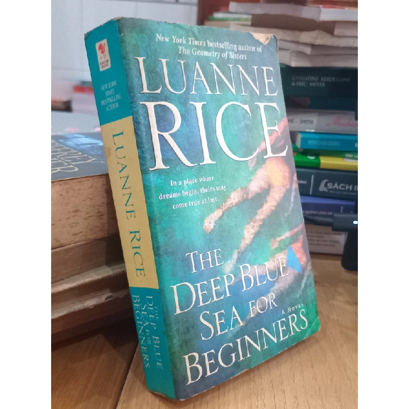 The Deep Blue Sea for Beginners - Luanne Rice 523011