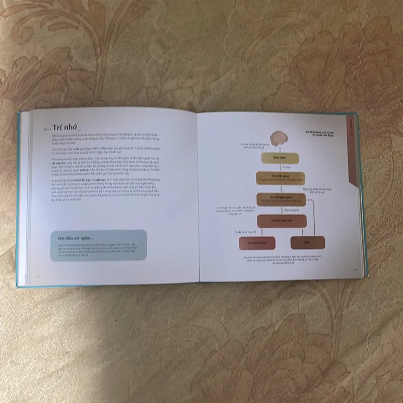 MỌI ĐIỀU BẠN CẦN BIẾT VỀ THẾ GIỚI XUNG QUANH- DANIEL TATARSKY 735667