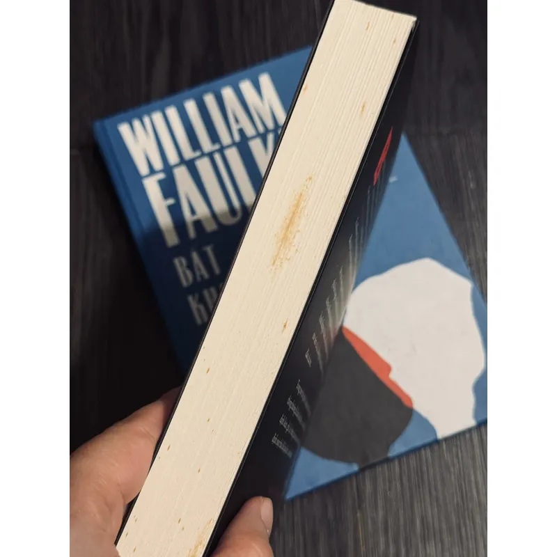 Combo 6 tác phẩm William Flaulker (đọc mô tả) 708304