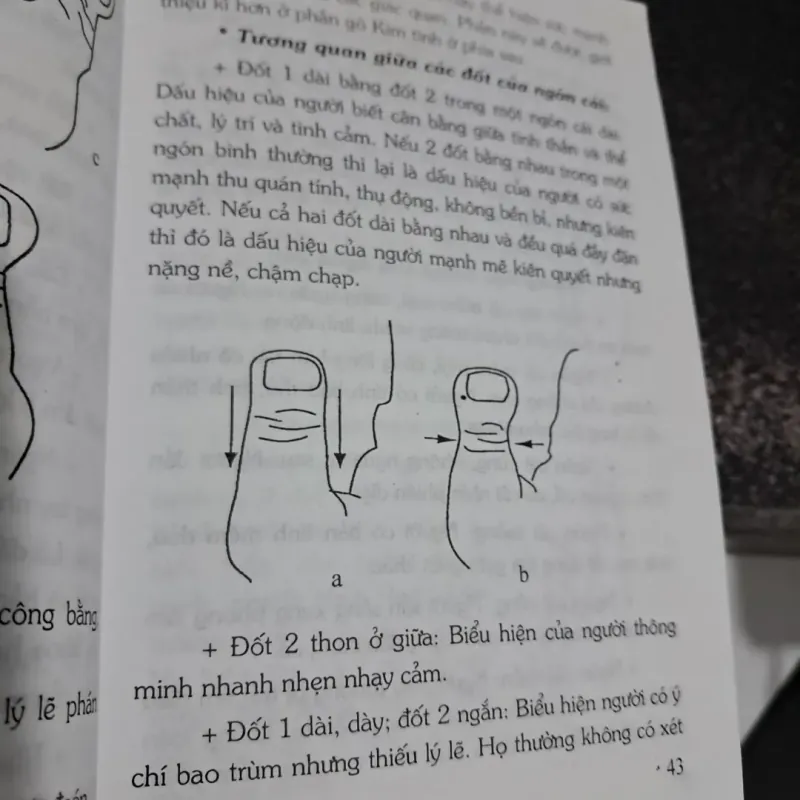 Bàn tay và sức khỏe 1029350