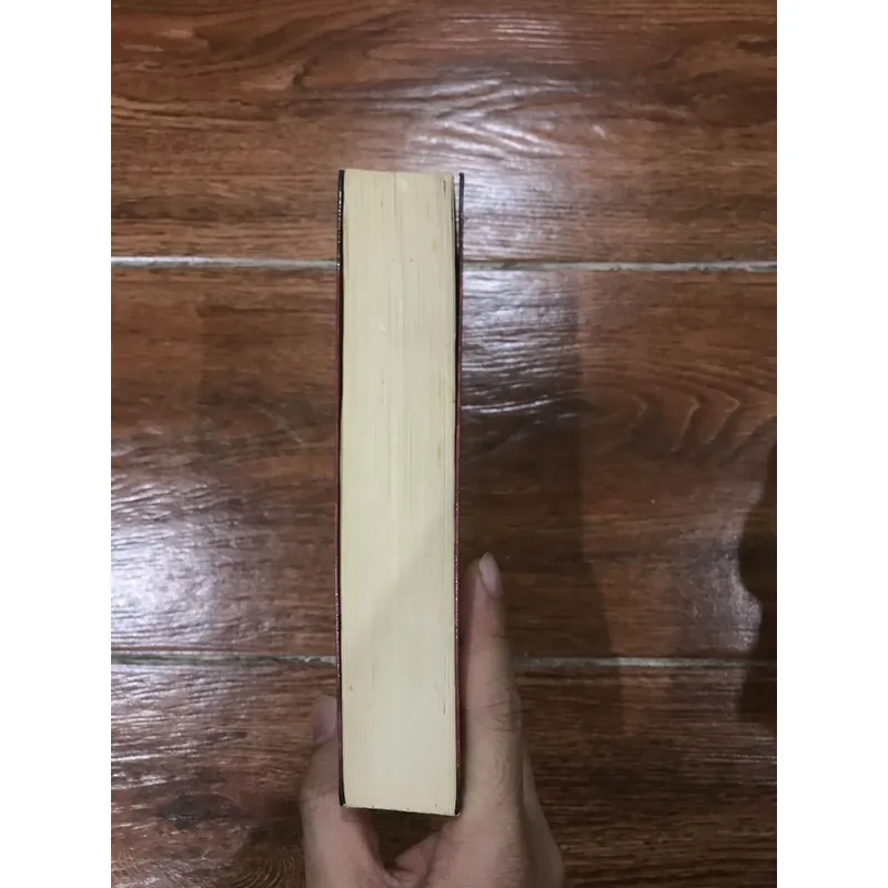 Pháp Sư - Bí mật của Nicholas Flamel bất tử - Michael Scott (8) 721204