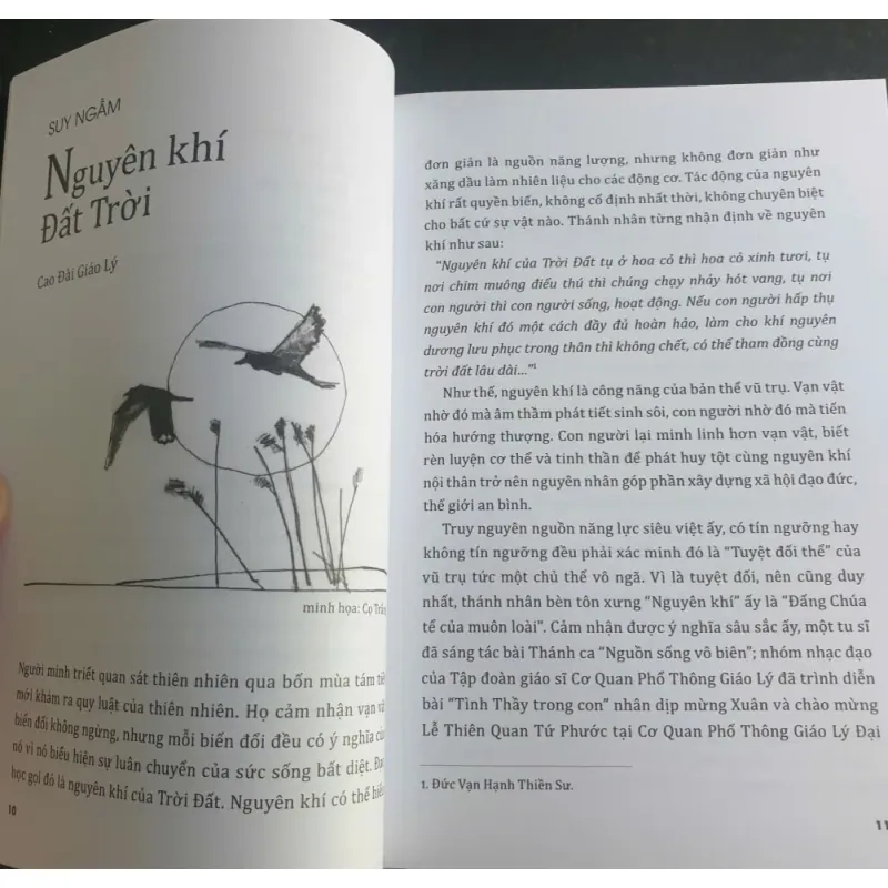 Cao Đài Giáo Lý 698039