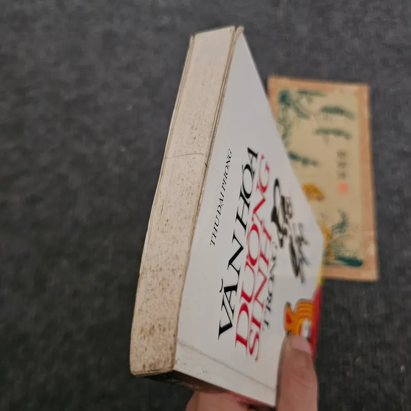 Văn hóa dưỡng sinh trong Đạo giáo 732619