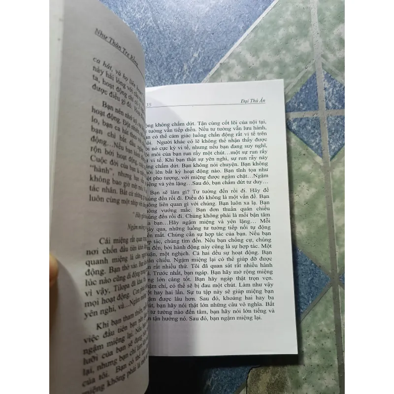 Đại thủ ấn - Osho 1004267