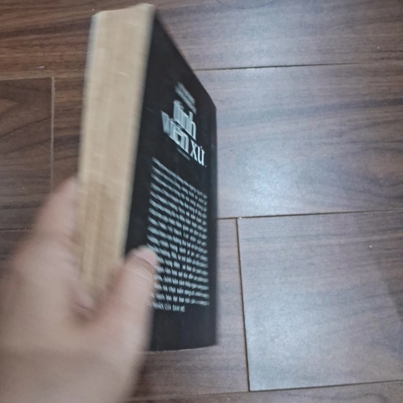Tình viễn xứ 506181