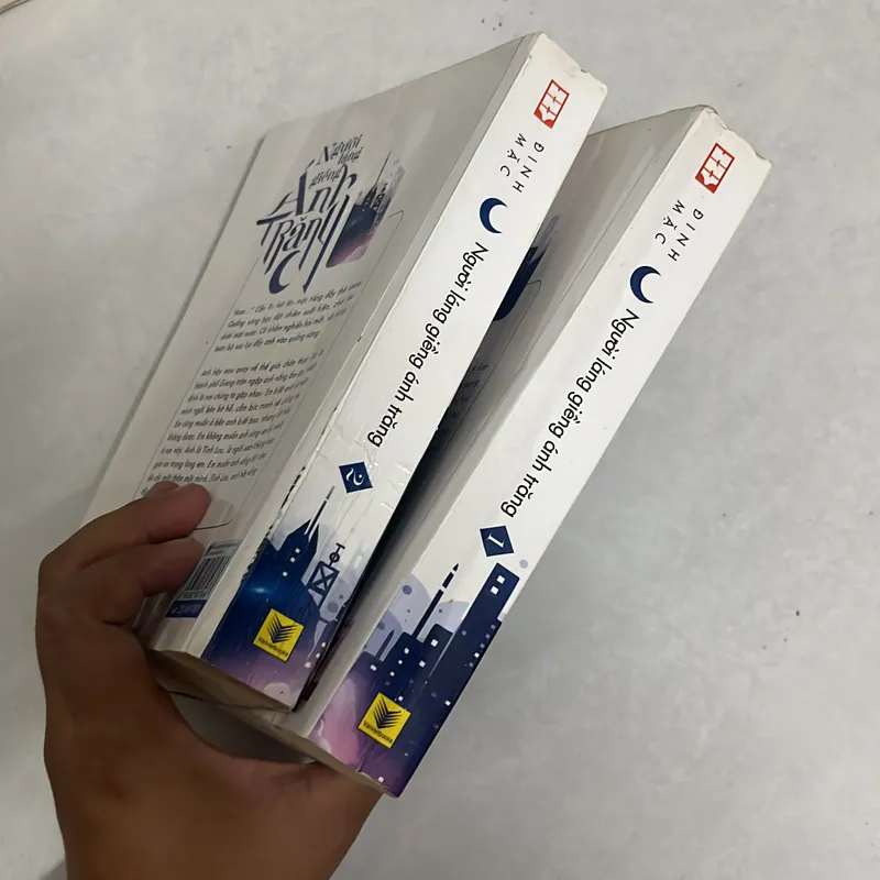 Người láng giềng Ánh trăng (Trọn bộ 2 tập) - Đinh Mặc 557035