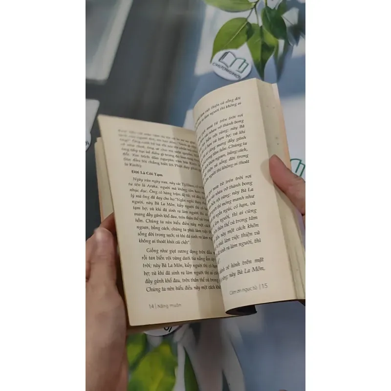 Nắng Muộn - Đậu Bảo 776107