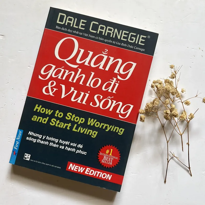 Quẳng gánh lo đi và vui sống - Dale Carnegie 568431