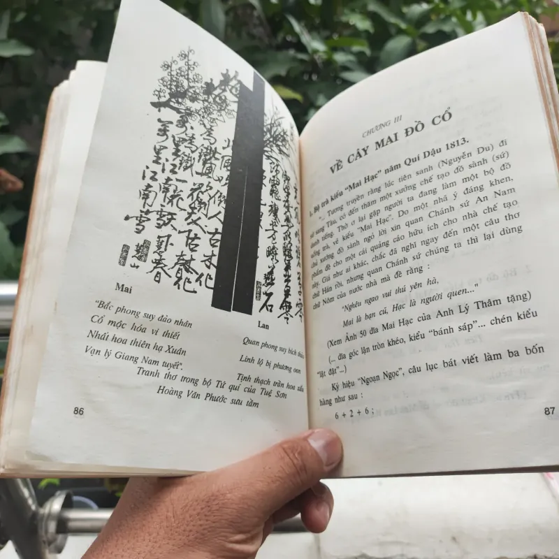 Kỹ Thuật Trồng Và Ghép Mai - Huỳnh Văn Thới 928913