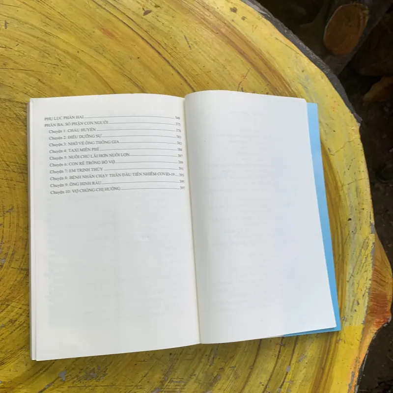 HỒI KÝ CHẠY THẬN - HỒ HỒNG VIỆT 753389