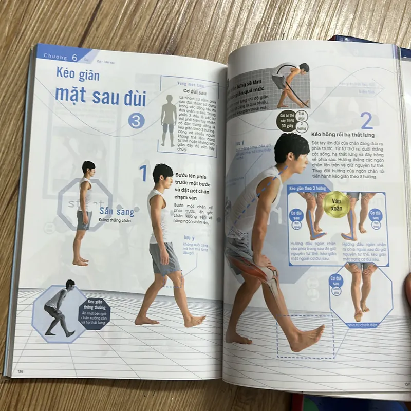 Kéo giãn cơ thể - in màu mới 99% 568775