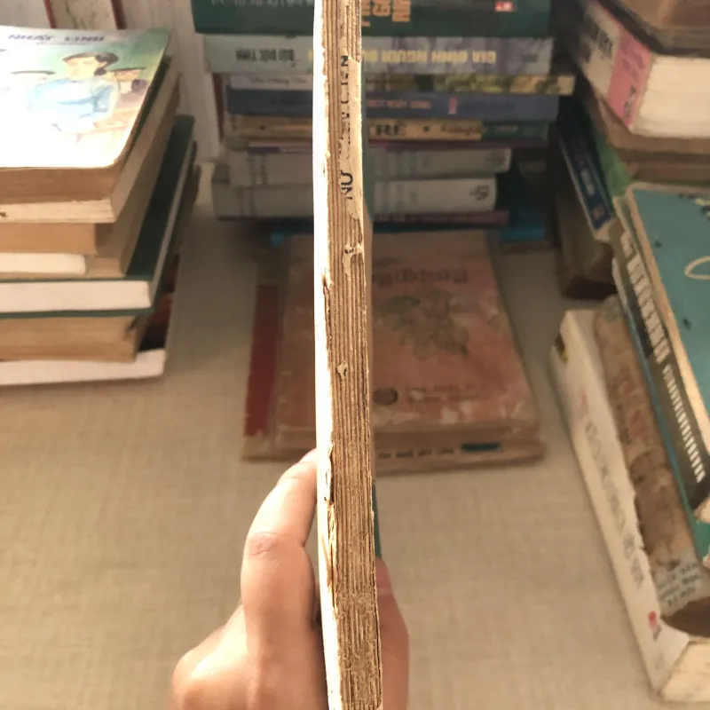 Nghĩa vụ và quyền lợi của nữ công nhân viên chức nhà nước 960295