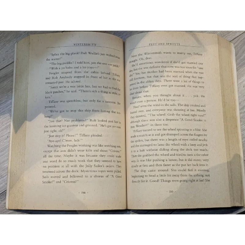 Winter Smith - Terry Pratchett 703639