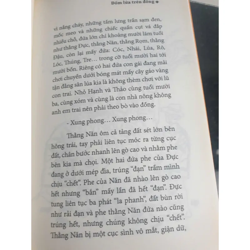 Đốm Lửa Trên Đồng 747388