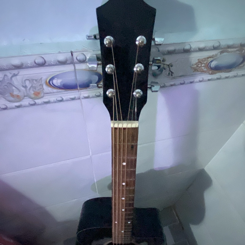 Gujtar acoustic  446414