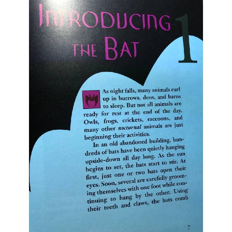 Bats The amazing upside-downers BÌA CỨNG mới 85% bẩn nhẹ Phyllis J.Perry HPB2607 NGOẠI VĂN 191307