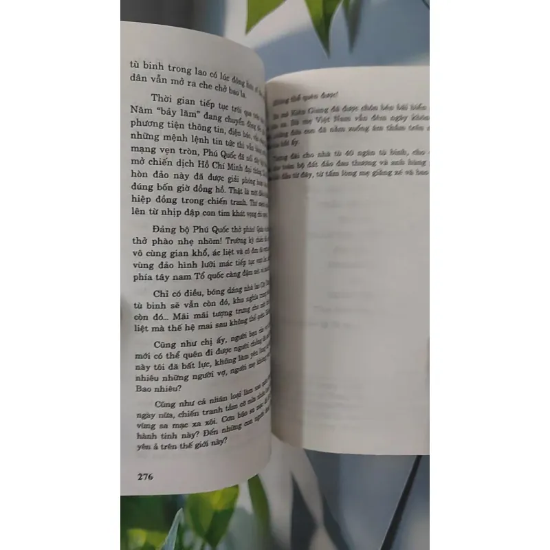 Nhà Lao Cây Dừa - Chu Lai 798338