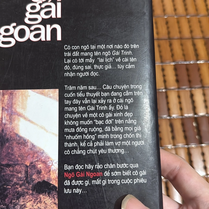 Ngõ gái ngoan - Tiểu Thạch 522667