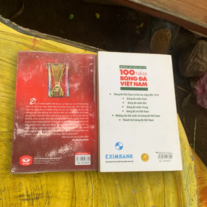 COMBO BÓNG ĐÁ VIỆT NAM: 100 năm bóng đá VIỆT NAM & Việt nam vô địch 740318