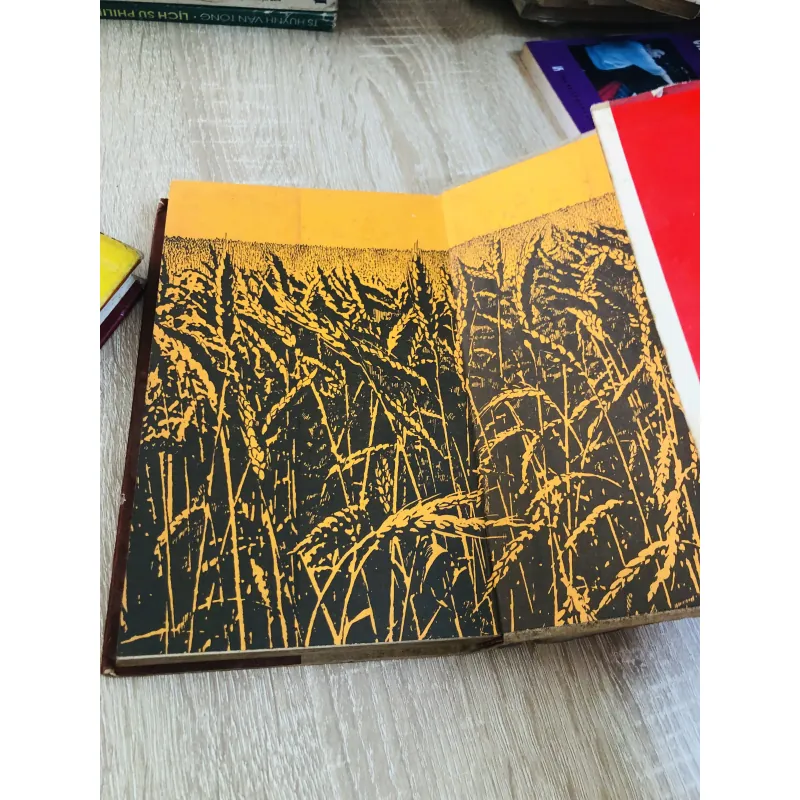 Đất vỡ hoang – tiểu thuyết nổi tiếng của Mikhail Sholokhov 929075