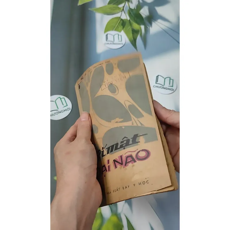 [XƯA] Bí Mật Đại Não (1982) - BS. Cao Trường Thọ 775987