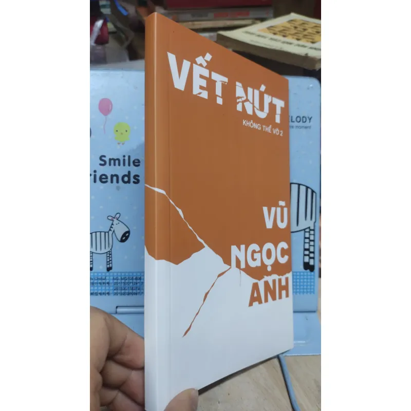 Sách: Vết nứt - TG: Vũ Ngọc Anh (B3) 1044287