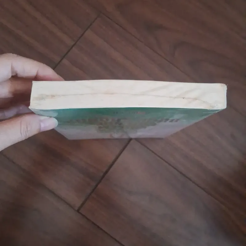 Chờ em lớn nhé được không? - duêpj lạc voi tân 706311