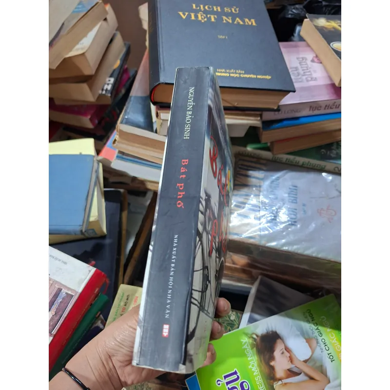 Bát phố của bảo sinh 936594