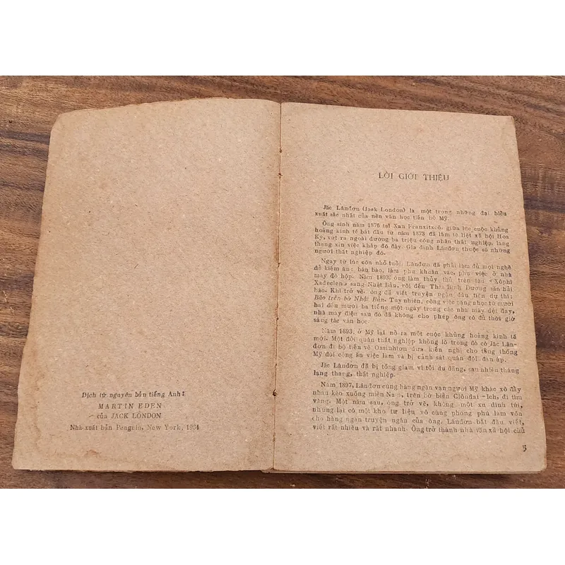 Tác phẩm văn học Mỹ của Jack London: MARTIN EDEN 735452