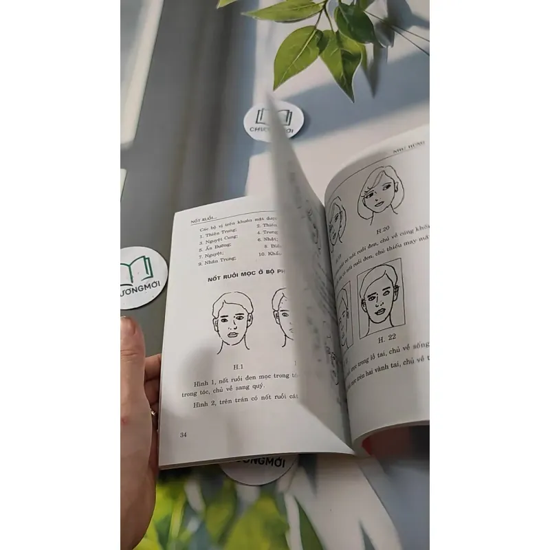 Nốt Ruồi Dưới Cái Nhìn Y Học & Tướng Học - Như Hùng 727280